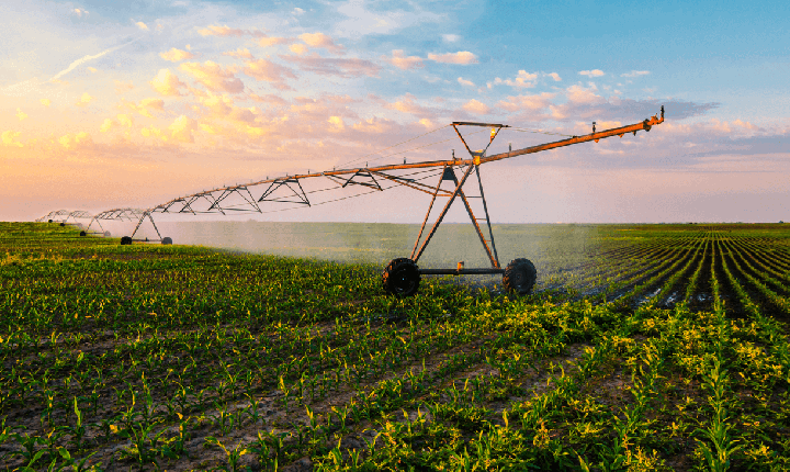 A PRÁTICA DE IRRIGAÇÃO TORNA AS COLHEITAS MAIS PRODUTIVAS