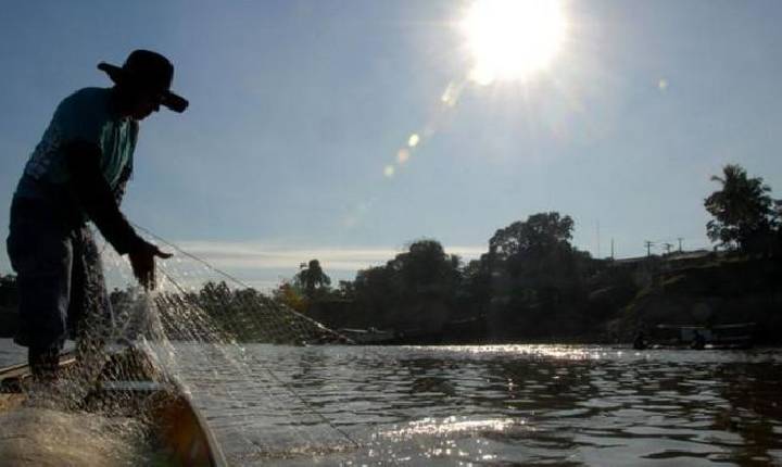 Caixa abre linha de crédito específica para pescadores artesanais.