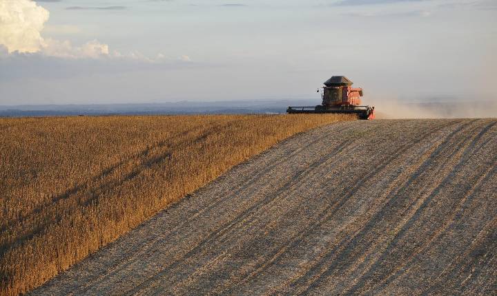 Estoque de produtos agrícolas tem queda de 17% no primeiro semestre