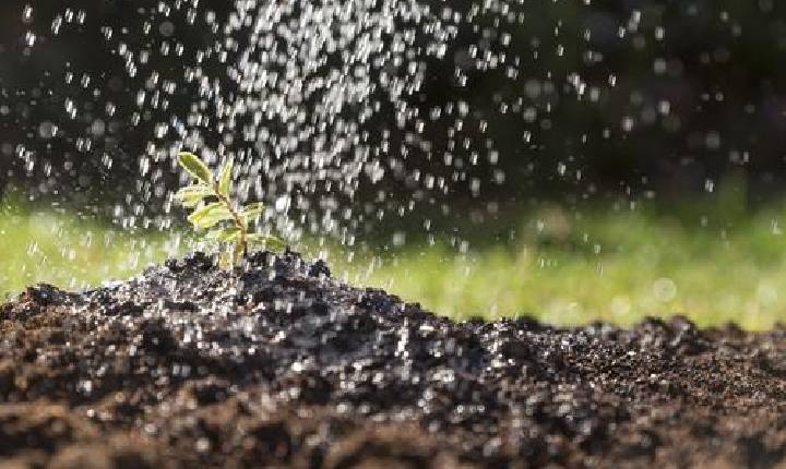 Excesso de chuva influencia agricultura e geração de energia