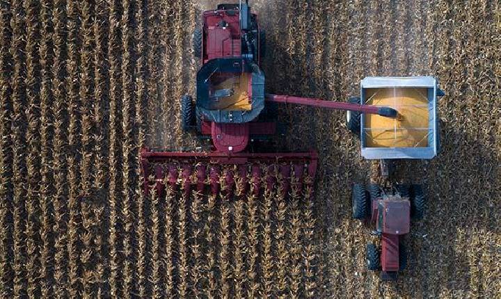 Guerra liga alerta sobre fertilizantes no Brasil