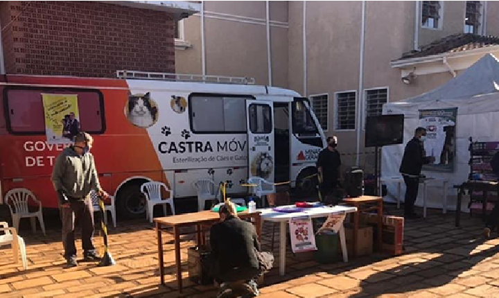 Iniciou ontem dia 13/07 a castração de cães e gatos em Paraguaçu.