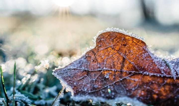 Inverno que se aproxima será atípico; El Niño trará temperaturas e chuvas acima da média em parte do país.