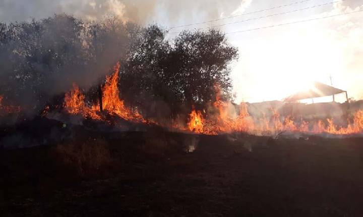 Lei municipal irá punir prática de queimadas em Alfenas.
