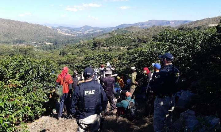 Mais de 60 pessoas são resgatadas em situação de trabalho escravo em Boa Esperança-MG e Ilicínea-MG