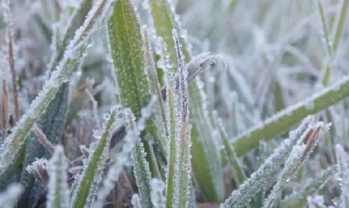 Sul de Minas: termômetros devem marcar abaixo de 0ºC ao longo da semana.