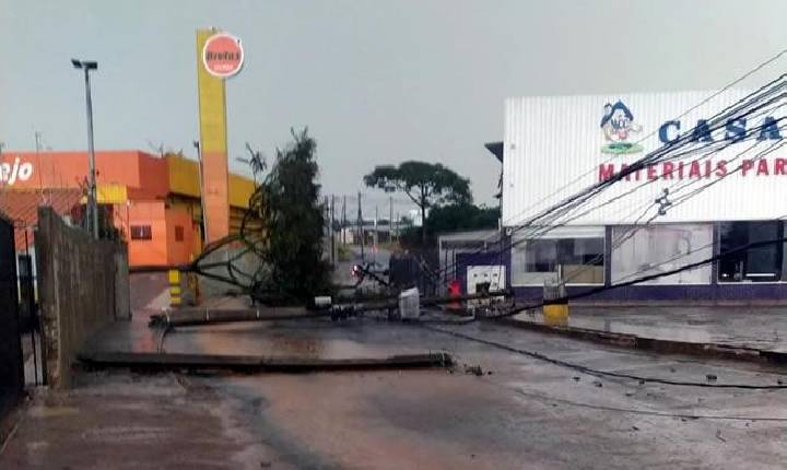 Temporal com fortes rajadas de vento derruba árvores, fere trabalhador, causa destelhamentos e deixa prejuízos.