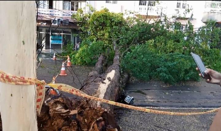 Temporal derruba árvores, destelha casas e deixa estragos em Pouso Alegre-MG.