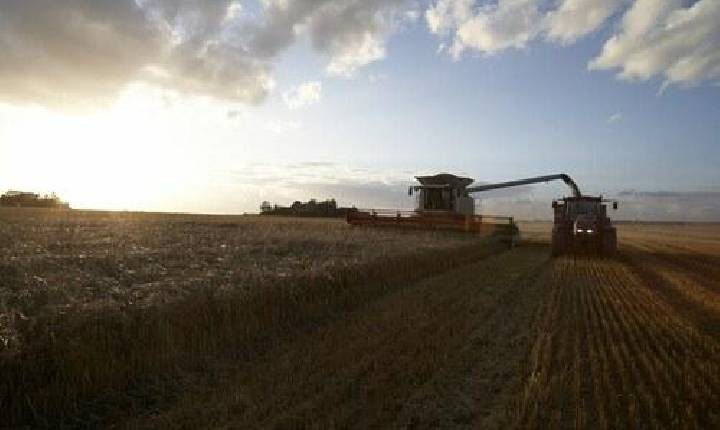 Valor Bruto da Produção Agropecuária fechou 2022 em R$ 1,189 trilhão