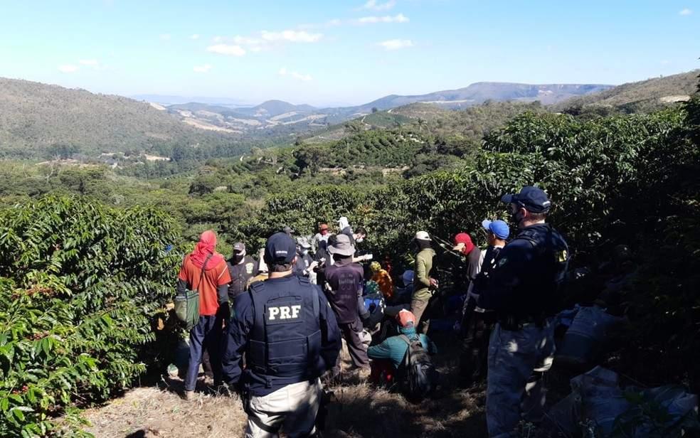 Mais de 60 pessoas são resgatadas em situação de trabalho escravo em Boa Esperança-MG e Ilicínea-MG