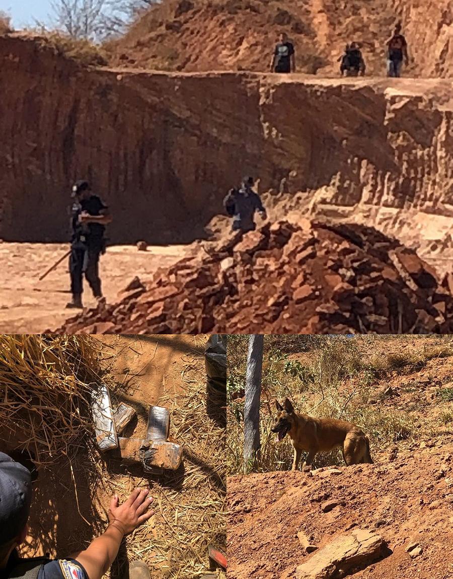 Cão farejador da GCM de Alfenas/MG localiza submetralhadora e quase 2 Kg de maconha em Areado/MG.