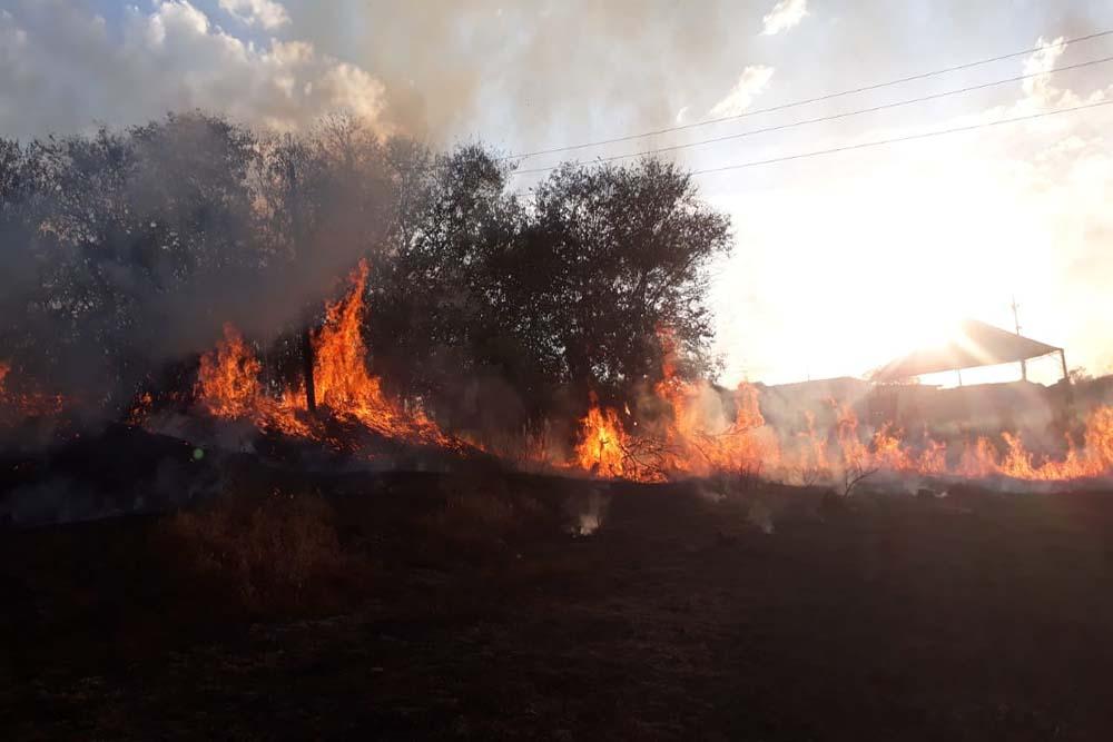 Lei municipal irá punir prática de queimadas em Alfenas.