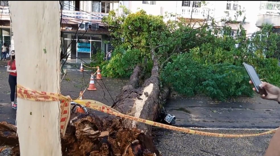 Temporal derruba árvores, destelha casas e deixa estragos em Pouso Alegre-MG.