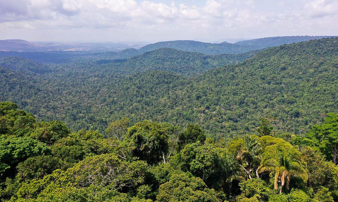 Petrobras anuncia ampliação nos investimentos em restauração florestal.