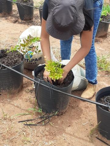 Incentivo aos produtores rurais.