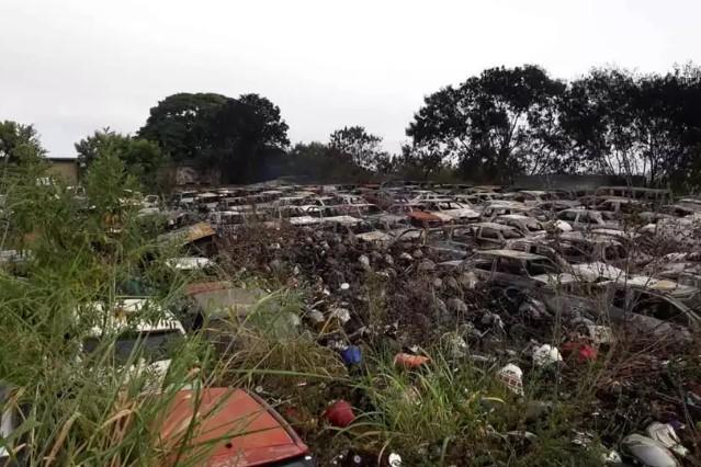 Incêndio destrói cerca de 50 carros.