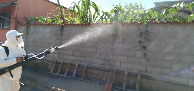 Municípios da Regional de Saúde de Alfenas diversificam estratégias no combate ao Aedes aegypti.