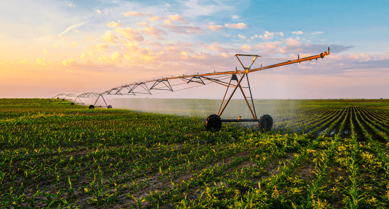 A PRÁTICA DE IRRIGAÇÃO TORNA AS COLHEITAS MAIS PRODUTIVAS