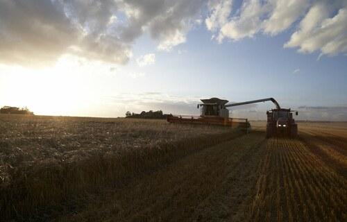 Valor Bruto da Produção Agropecuária fechou 2022 em R$ 1,189 trilhão